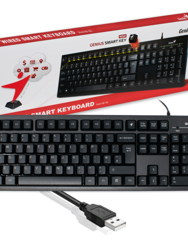 TECLADO GENIUS KB-110 SMART USB