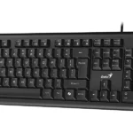TECLADO GENIUS KB-113 USB
