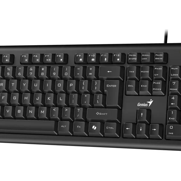 TECLADO GENIUS KB-113 USB