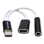 ADAPTADOR 3.5MM HEMBRA A TIPO C IBEK